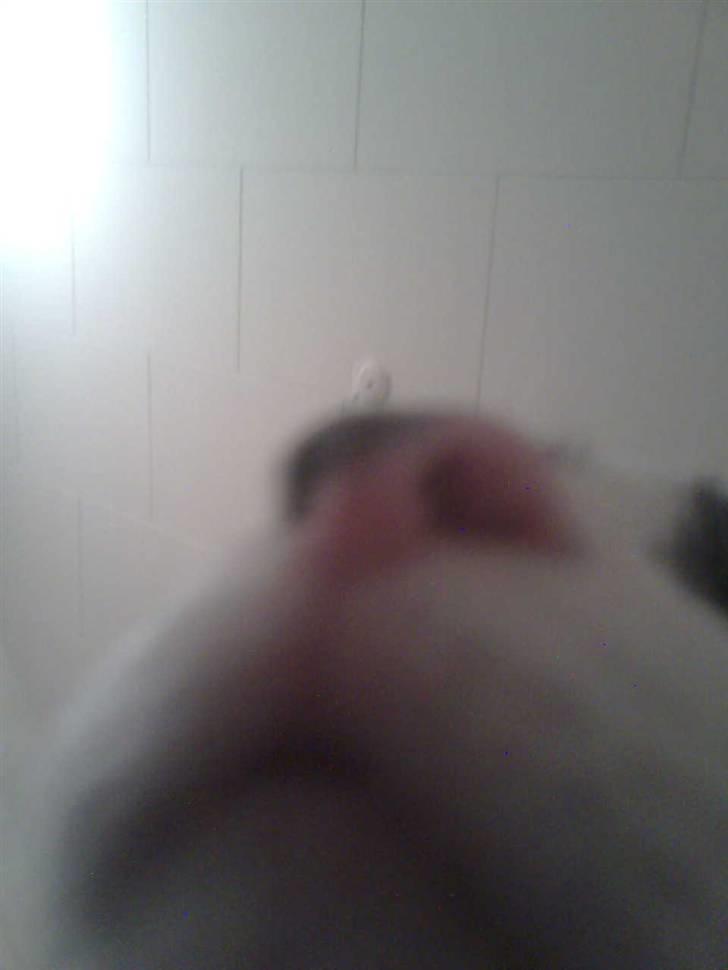 Huskat Snif - nej der var ingen bussetrolde *GG* billede 10