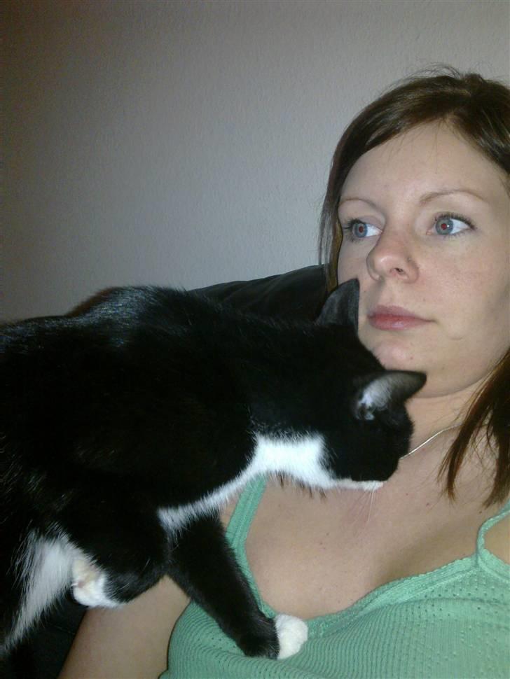 Huskat Snif - mor´s halskæde er lidt spændende :) billede 12