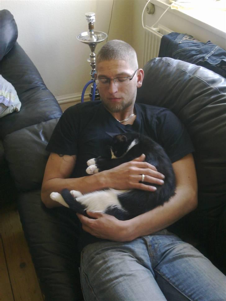 Huskat Snif billede 13