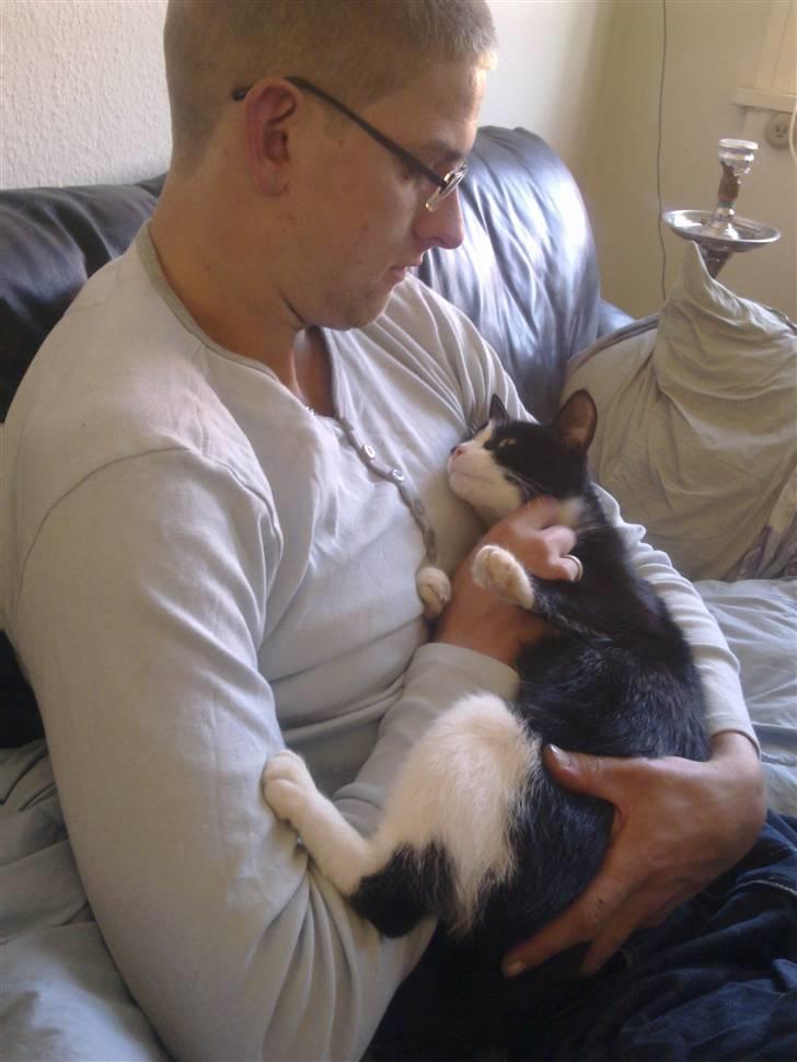 Huskat Snif billede 14