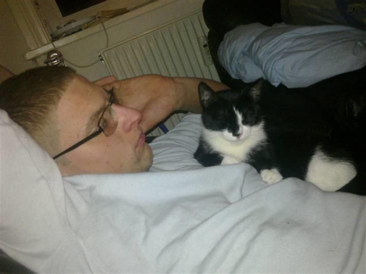 Huskat Snif billede 15