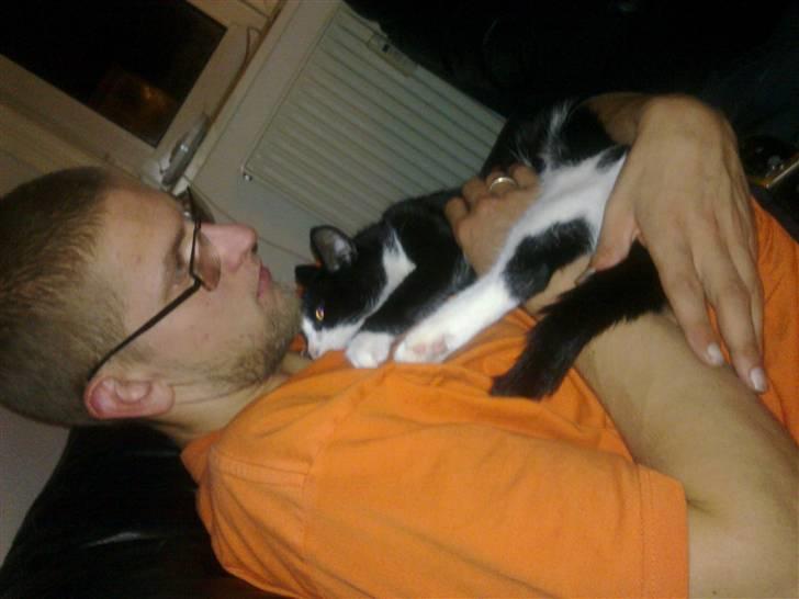Huskat Snif - man sover altså vildt godt hos far =) billede 16
