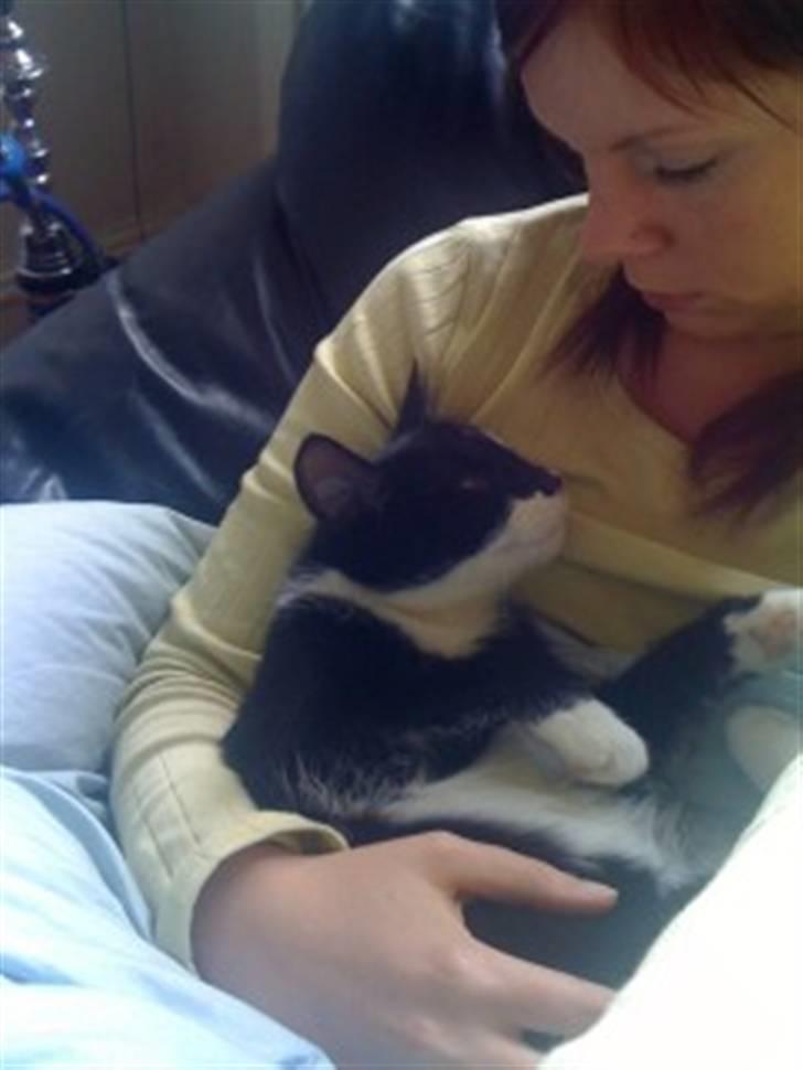 Huskat Snif - mor´s baby <3 billede 17