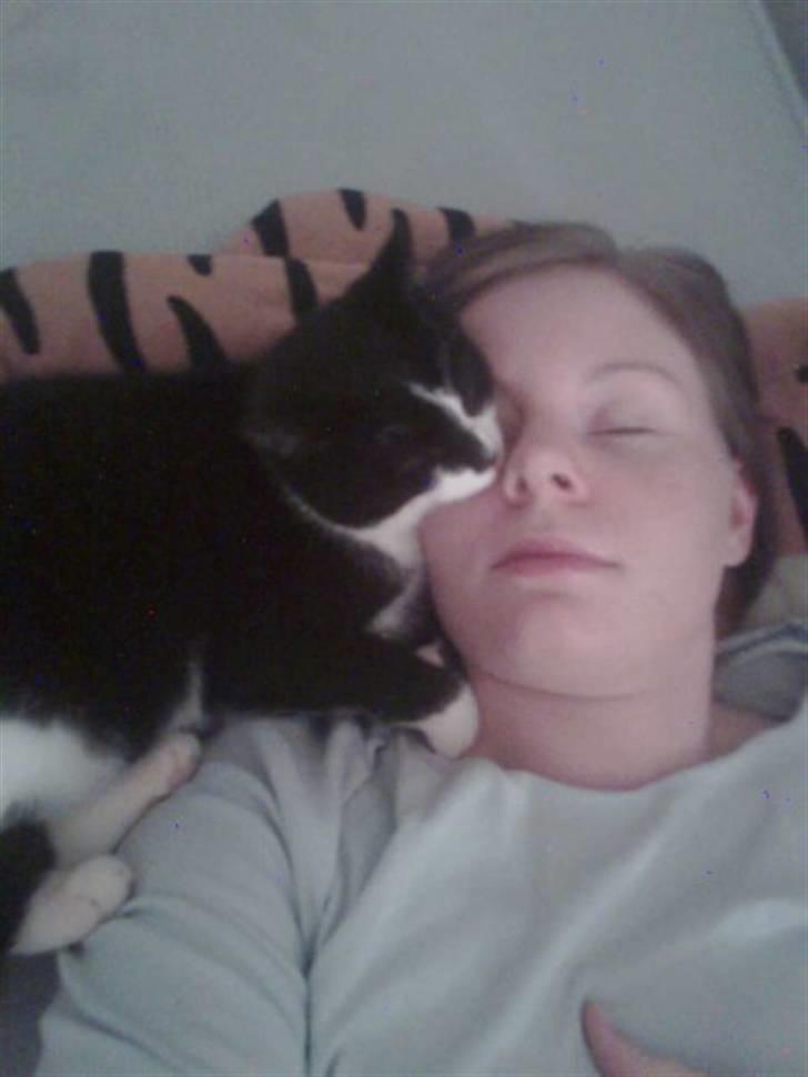 Huskat Snif billede 20