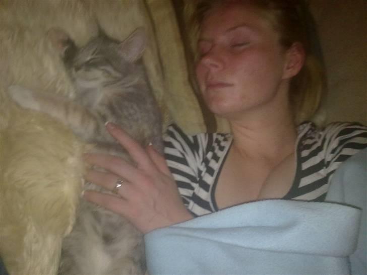 Blanding af racer BimBam - mig og mor faldt i søvn sammen. far tog et billede af os :) jeg eeeelsker at putte :) billede 9