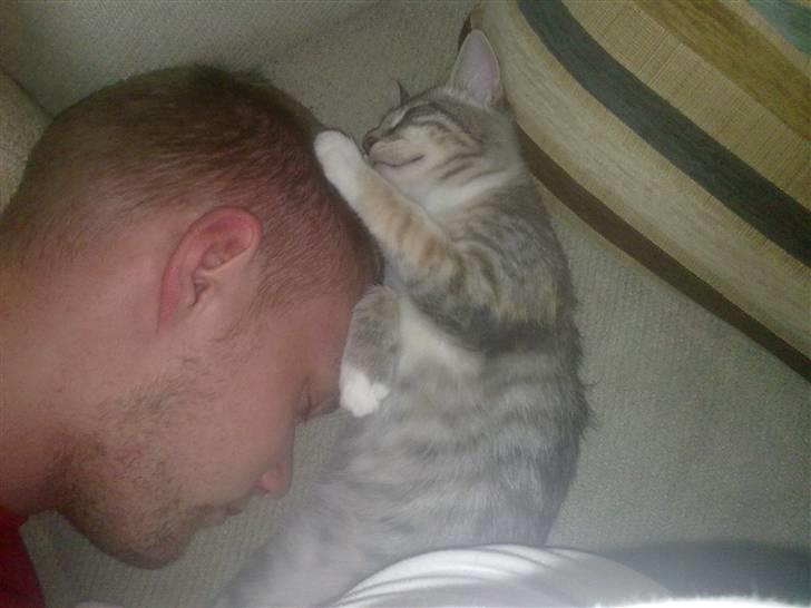 Blanding af racer BimBam - her putter jeg med min far :) hihi billede 10