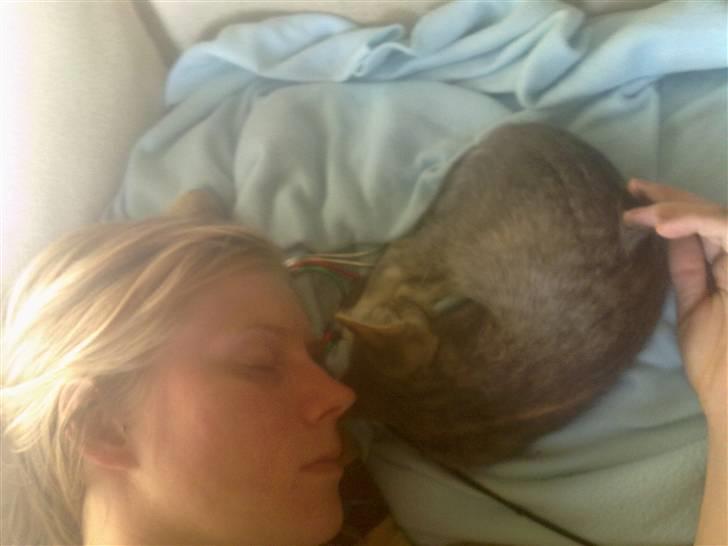 Blanding af racer BimBam - første gang mig og mor putter :D billede 12