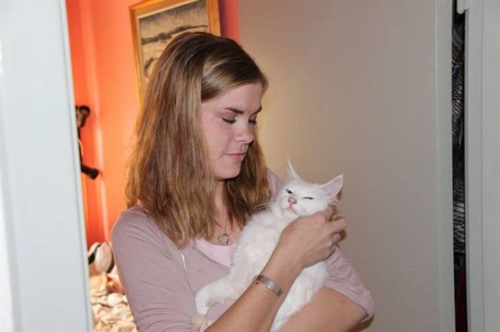 Maine Coon Smilla  (er drægtig) - står og kigger på min nye smukke kat jeg skal have med hjem:) billede 6