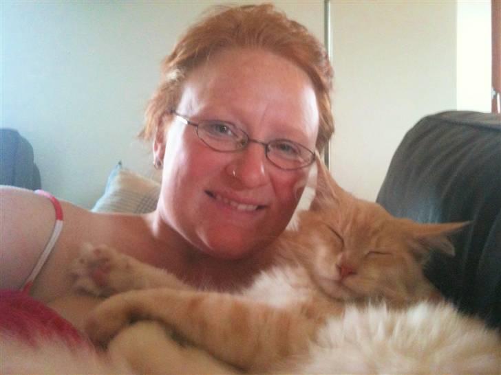 Maine Coon Elvis billede 3