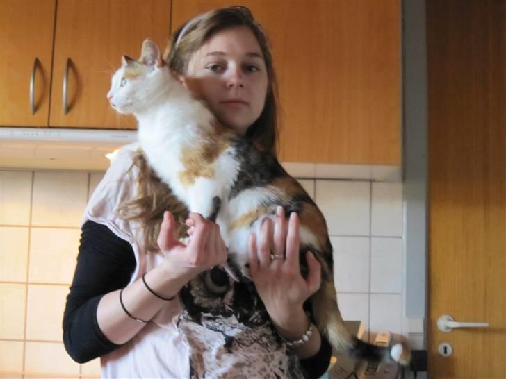 Blanding af racer Siva  - Hvad skal man sige, sådan som jeg ser ud, har jeg vidst weekend. :P  billede 14