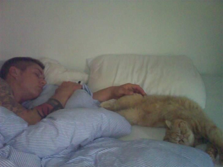 Exotic Alomi's Mikkel billede 14