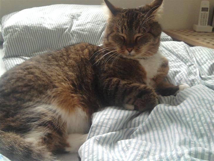 Huskat tøsen - er du nu der igen mor  billede 3