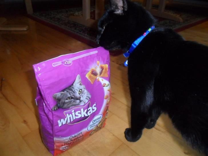 Huskat Zippo  - Mums whiskas :-D billede 14