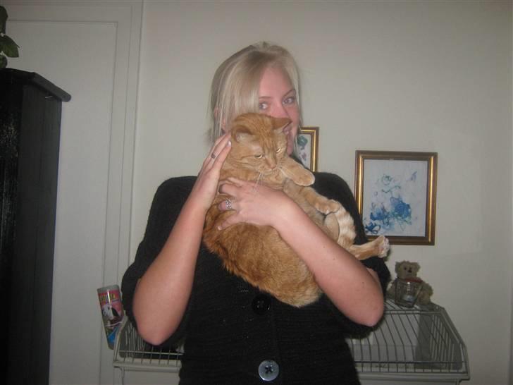 Huskat Lillefisen billede 17