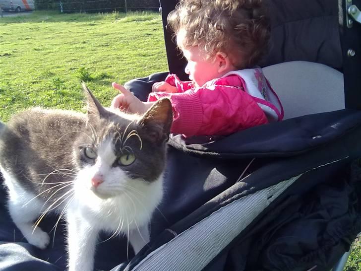 Blanding af racer plet<3 (VÆK?) billede 10