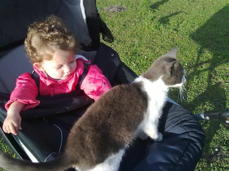 Blanding af racer plet<3 (VÆK?) billede 13