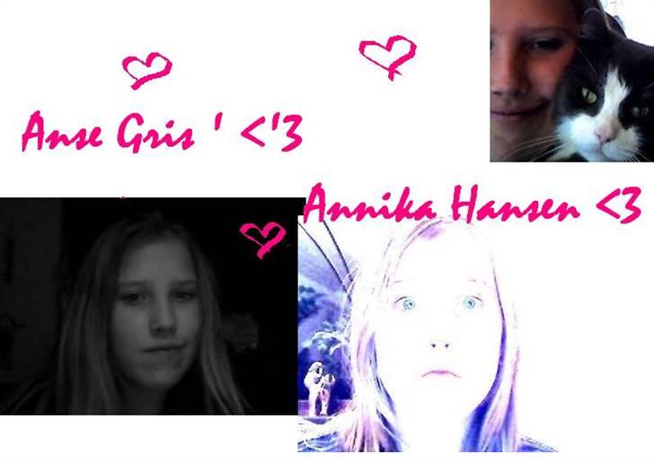 Huskat Bamse <3 - Bamse og Mig oppe i højre hjørne :-). Det er et billede min veninde Celina har lavet til mig :-) billede 6