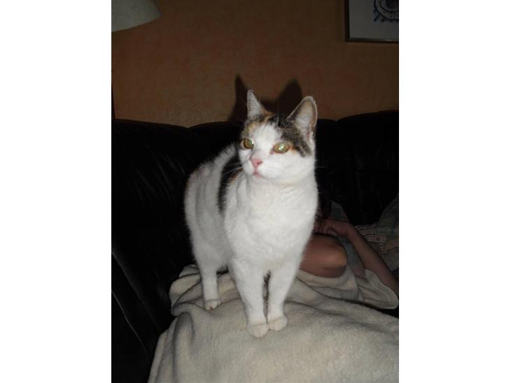 {{currentPhoto.altText}} billede {{currentPhoto.number}}