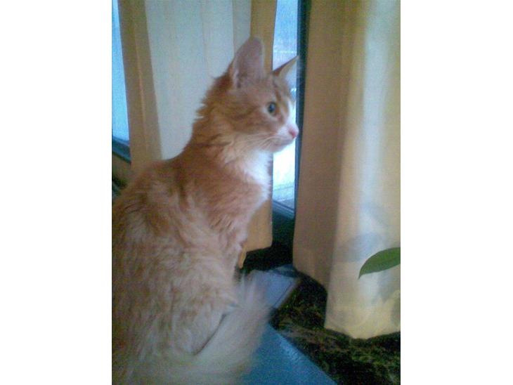 {{currentPhoto.altText}} billede {{currentPhoto.number}}