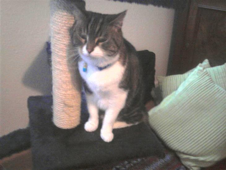 {{currentPhoto.altText}} billede {{currentPhoto.number}}