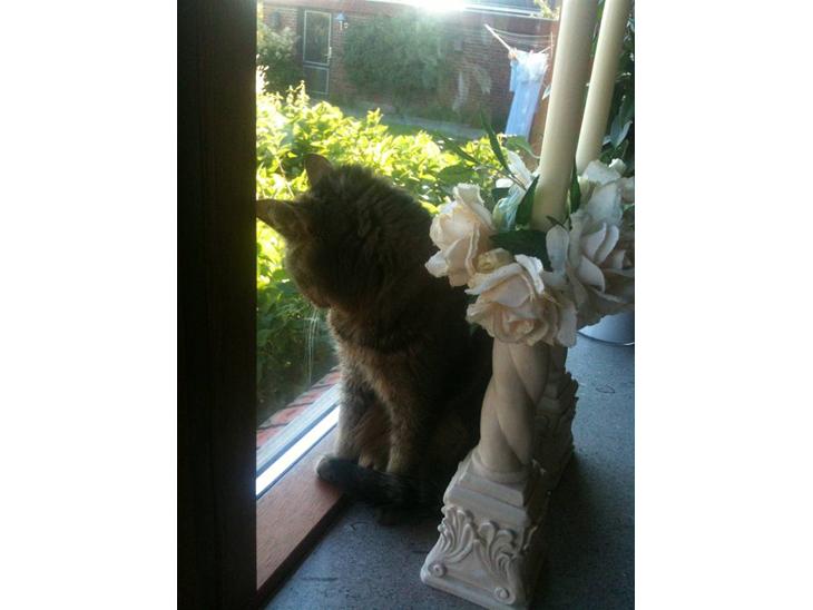 {{currentPhoto.altText}} billede {{currentPhoto.number}}