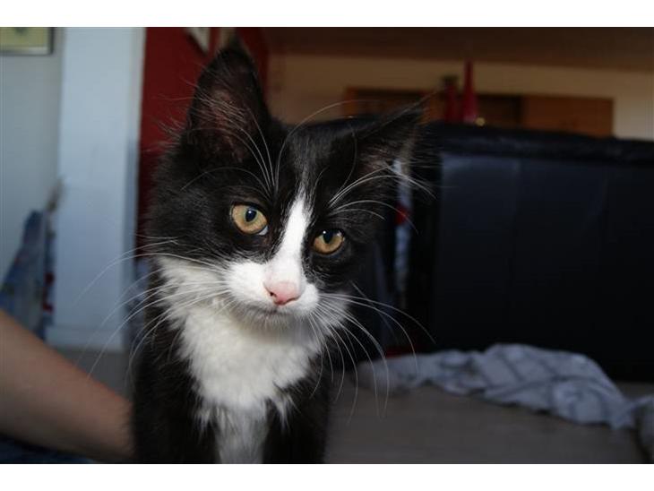 {{currentPhoto.altText}} billede {{currentPhoto.number}}