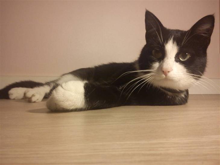 {{currentPhoto.altText}} billede {{currentPhoto.number}}