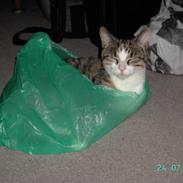 Blanding af racer Mille