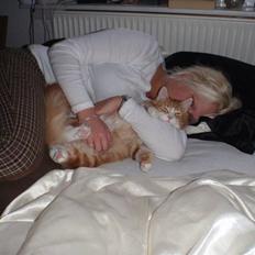 Blanding af racer Oliver