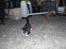 Huskat Baby