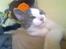 Huskat Jimmi