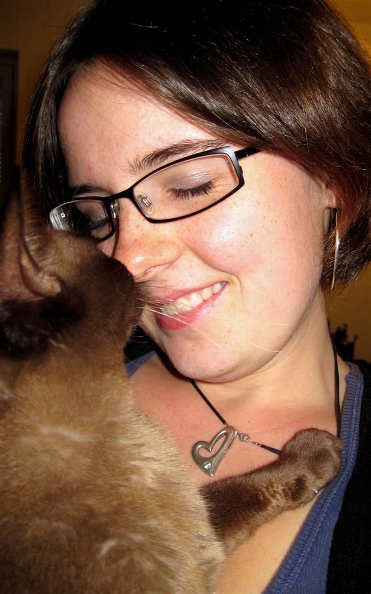 Burmeser Bailey billede 17