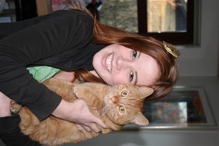 Blanding af racer Pelle billede 4