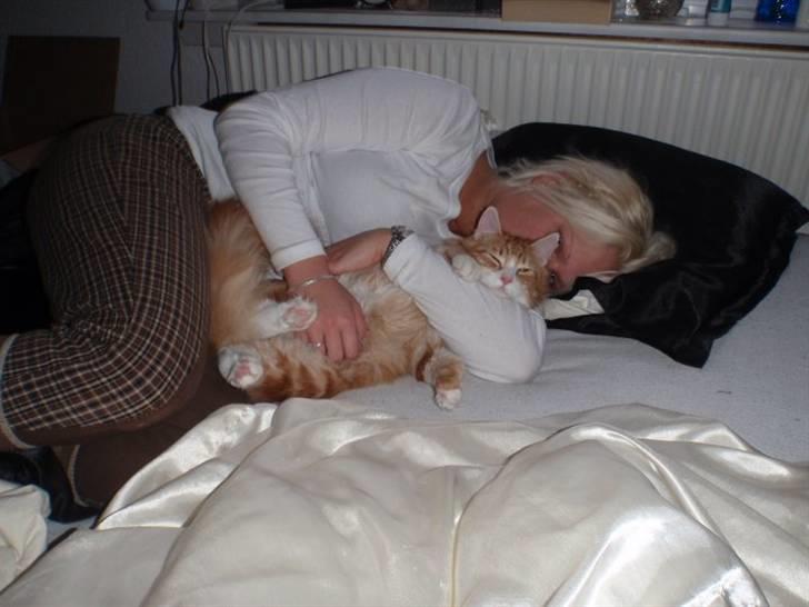 Blanding af racer Oliver billede 2