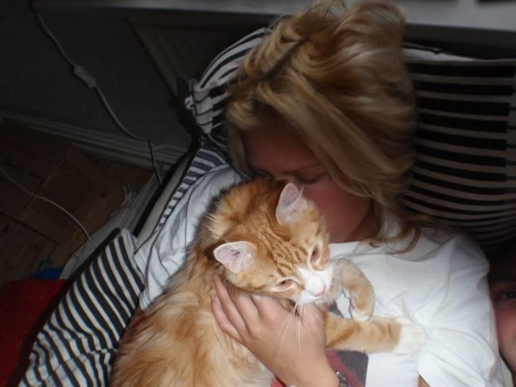 Blanding af racer Oliver billede 6