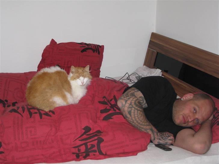 Blanding af racer John  - John elsker at ligge på en her er det min ven der må lade livet for det.. :) billede 12