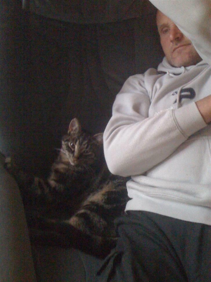 Huskat Coda  billede 3