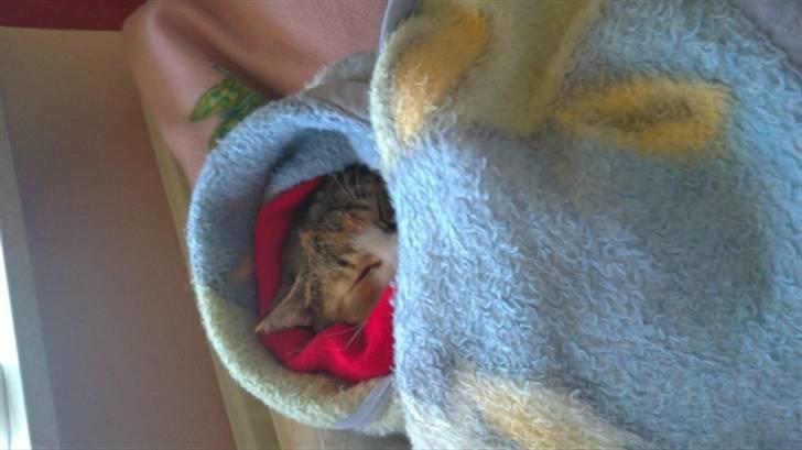 Huskat vivi - Vivi du er så sød når du sover :) billede 10