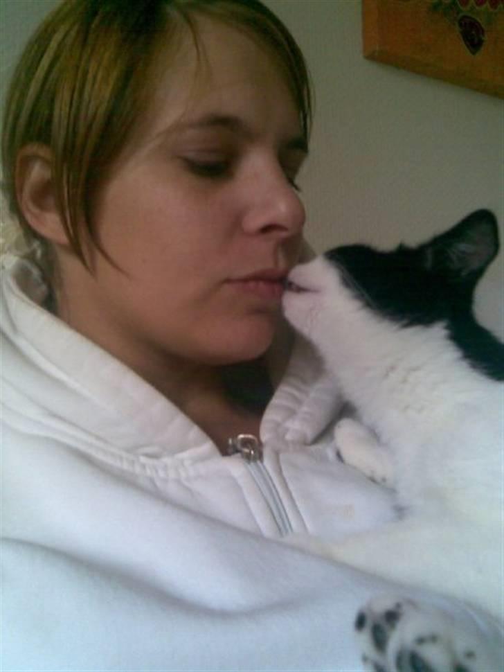 Huskat .DOT - elsker sin mor billede 9