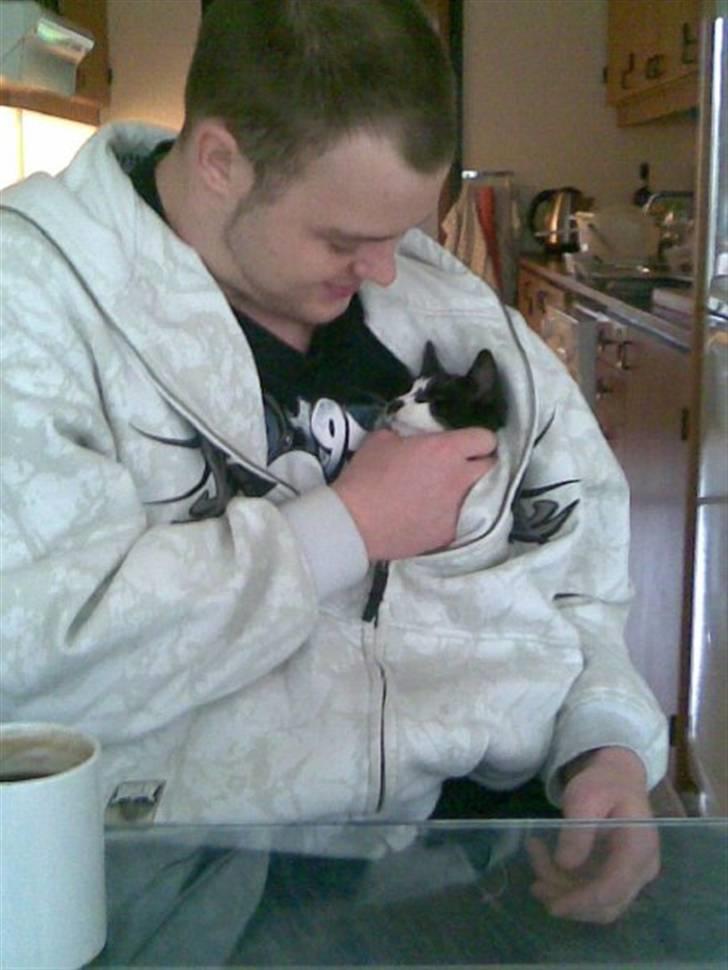 Huskat .DOT - Elsker sin far billede 10