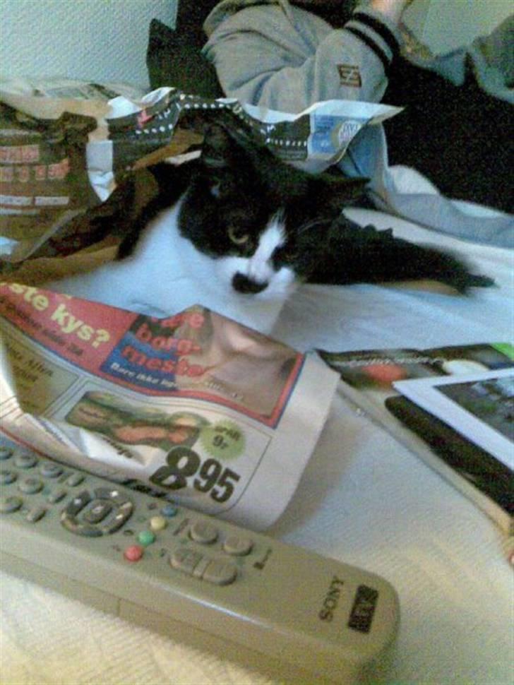 Huskat .DOT billede 11