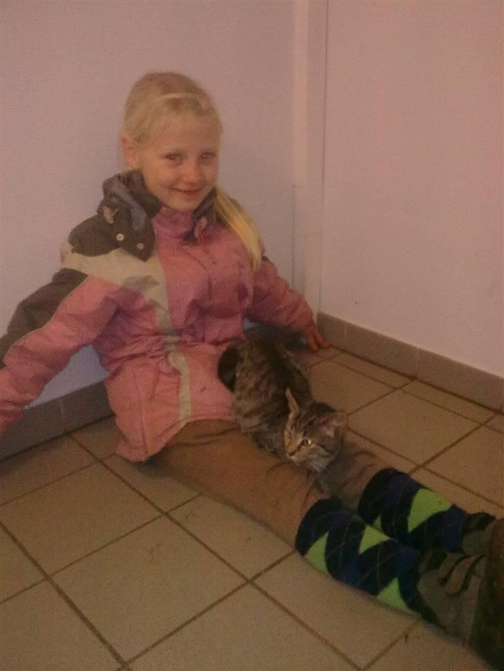 Huskat Tigermis - min bedste veninde sidder lige med tigermis <33 billede 9