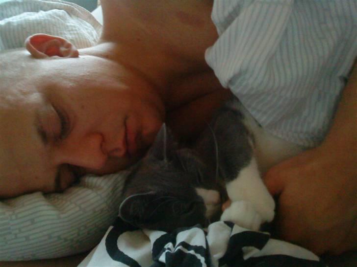 Blanding af racer Toulouse  - Der findes simpelthen intet bedre end a putte tæt i sengen, helst helt under dynen :) her soves der længe med far <3 billede 4