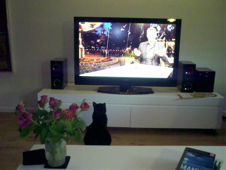 Huskat Mille billede 4