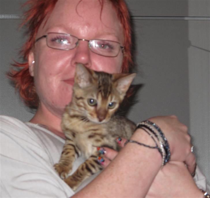 Bengal Leeloo - Leeloo i hænderne på sin nye "mor" :) billede 6