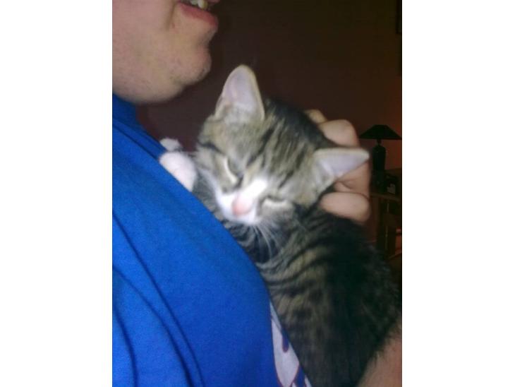 {{currentPhoto.altText}} billede {{currentPhoto.number}}