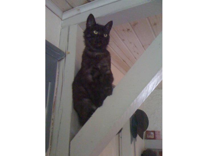 {{currentPhoto.altText}} billede {{currentPhoto.number}}