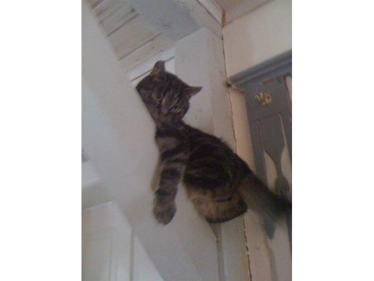 {{currentPhoto.altText}} billede {{currentPhoto.number}}