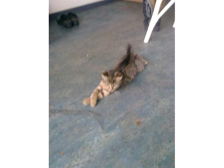 {{currentPhoto.altText}} billede {{currentPhoto.number}}