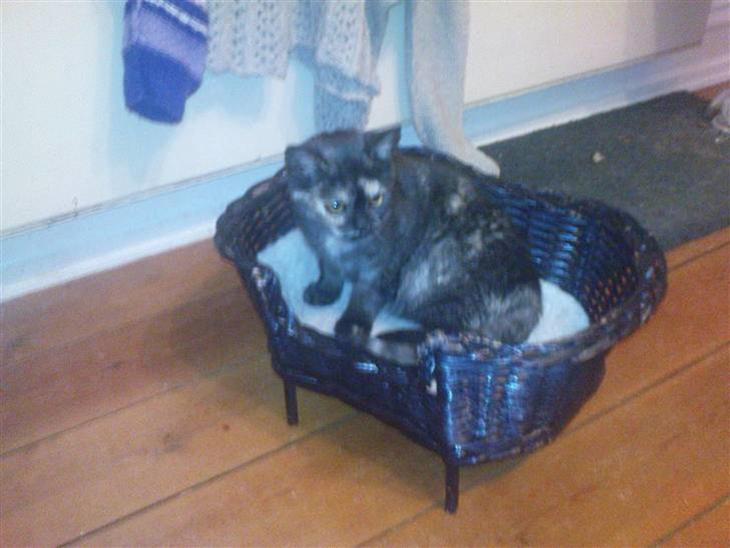 {{currentPhoto.altText}} billede {{currentPhoto.number}}